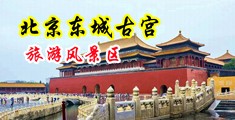 舔阴免费视频中国北京-东城古宫旅游风景区